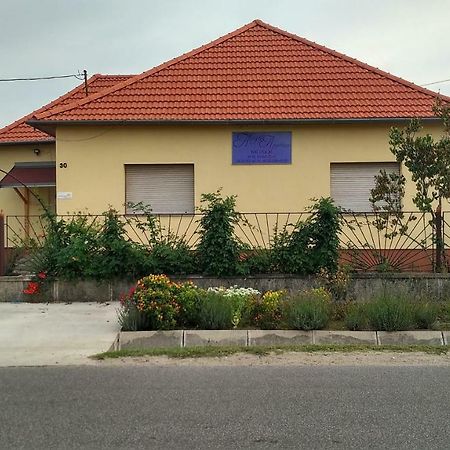 Abigel Apartman Mórahalom Buitenkant foto